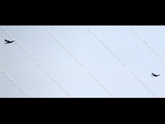 180623_464-Hurricane + Spitfire