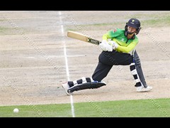 180827_380-Fran Wilson-Stm